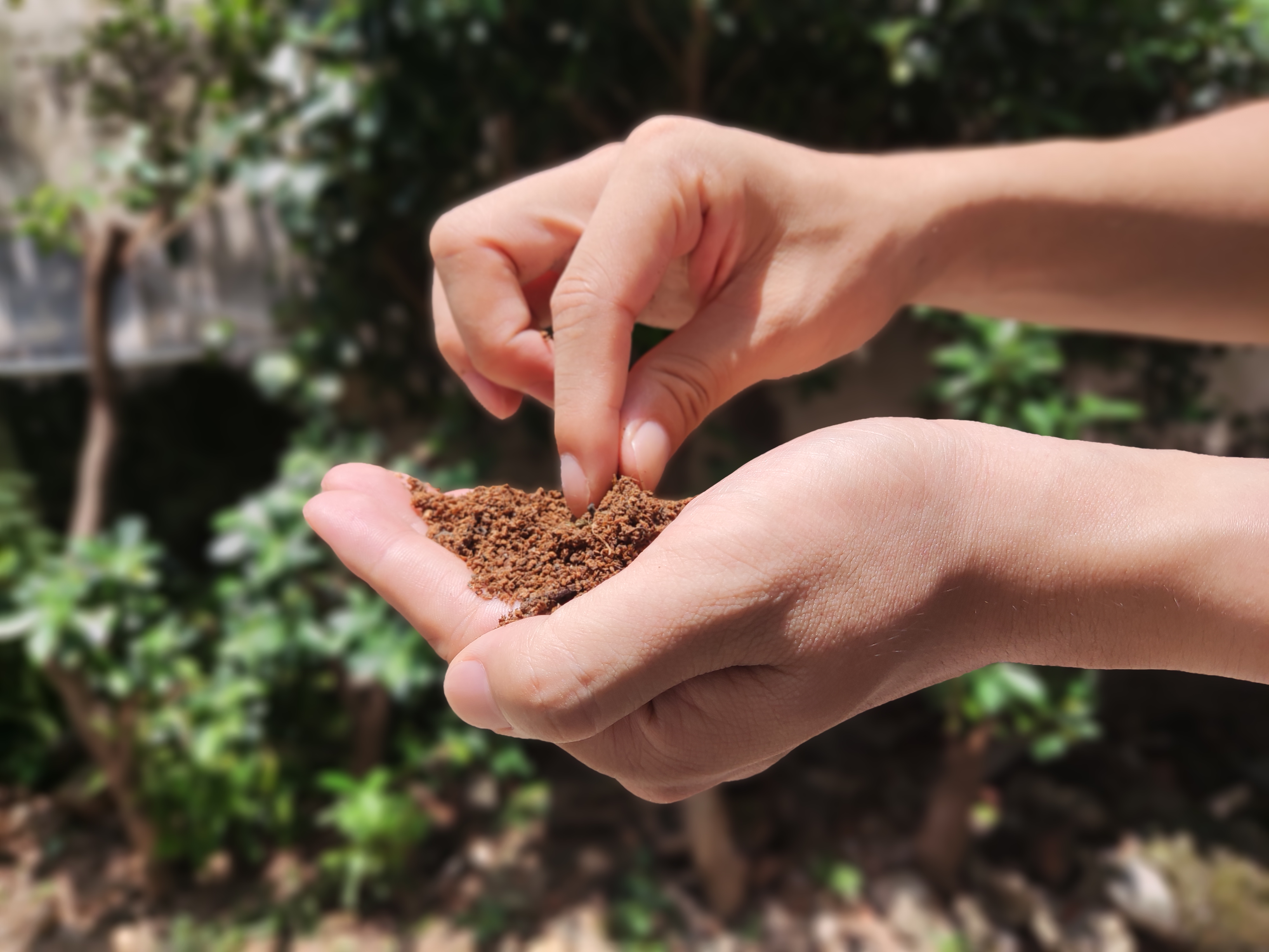 Add GEME Safe Compost to Garden Soil