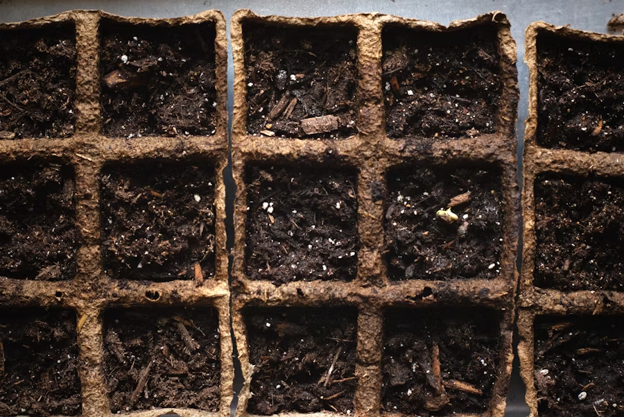 Before and after comparison of clay soil structure improvement with compost