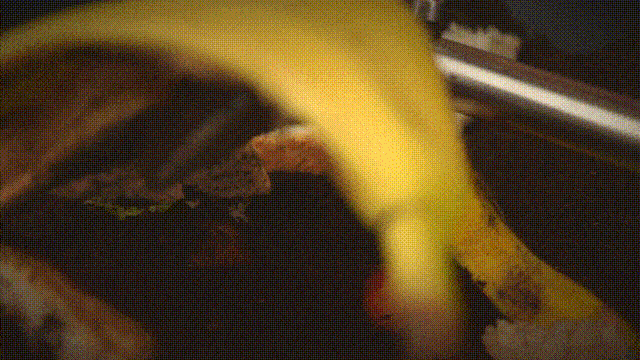 Countertop Composter GEME composter