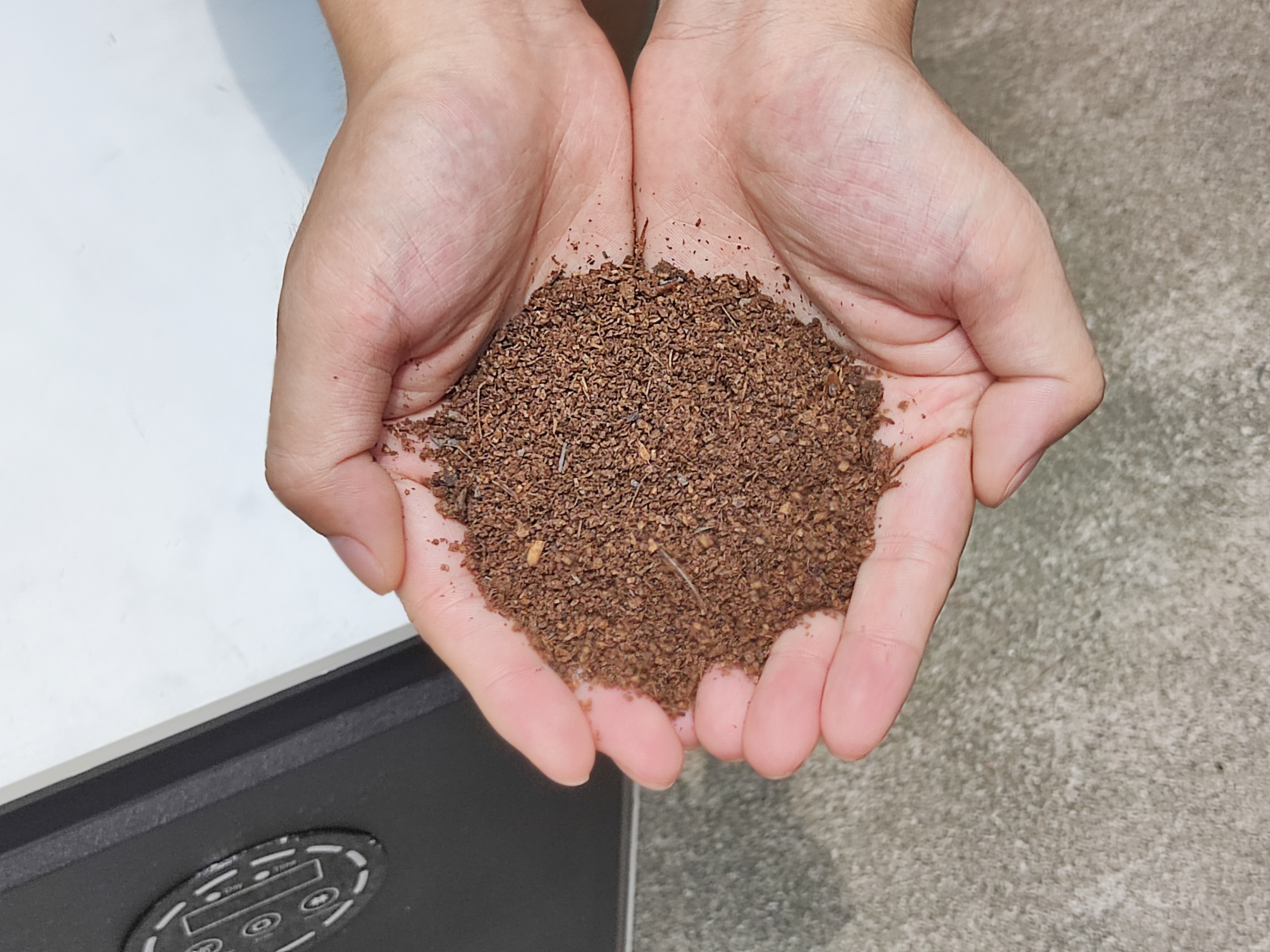 How to Grow Tomato Plants in Pots